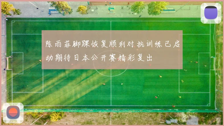 陈雨菲脚踝恢复顺利对抗训练已启动期待日本公开赛精彩复出